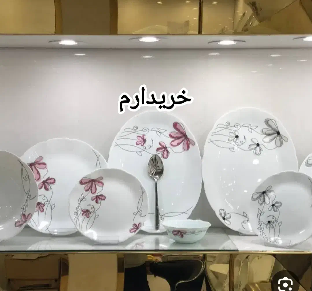 آرکوپال دسینی|ظروف سرو و پذیرایی|قم, نیروگاه|دیوار