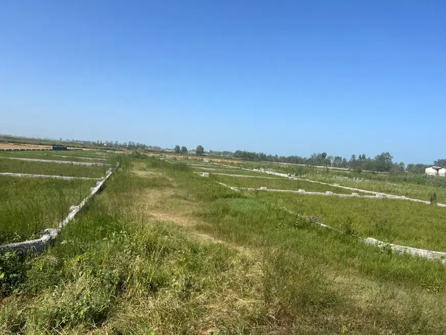 ۱۸۰ متر زمین در چاف باقیمت کاسبی|فروش زمین و ملک کلنگی|چاف و چمخاله, |دیوار