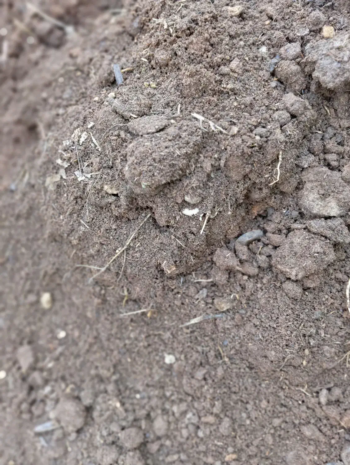 کودحیوانی|گل و گیاه طبیعی|خشکبیجار, |دیوار