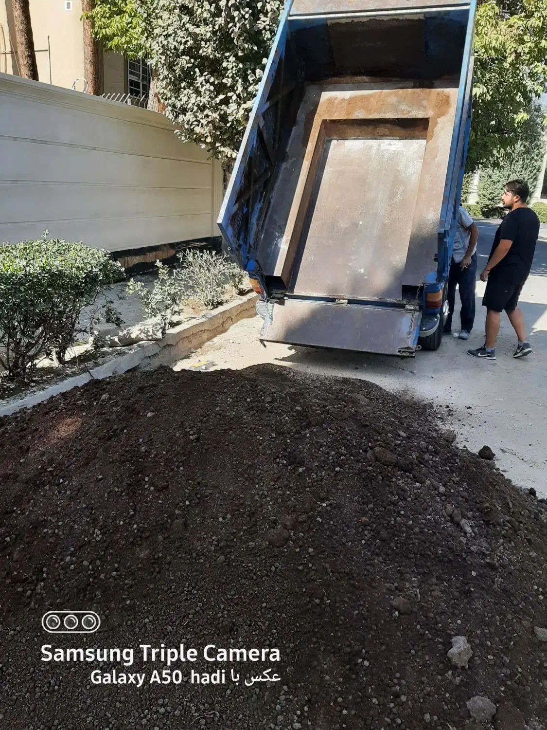 پخش کود گاوی و گوسفندی با نیسان|خدمات باغبانی و درختکاری|ماهدشت, |دیوار