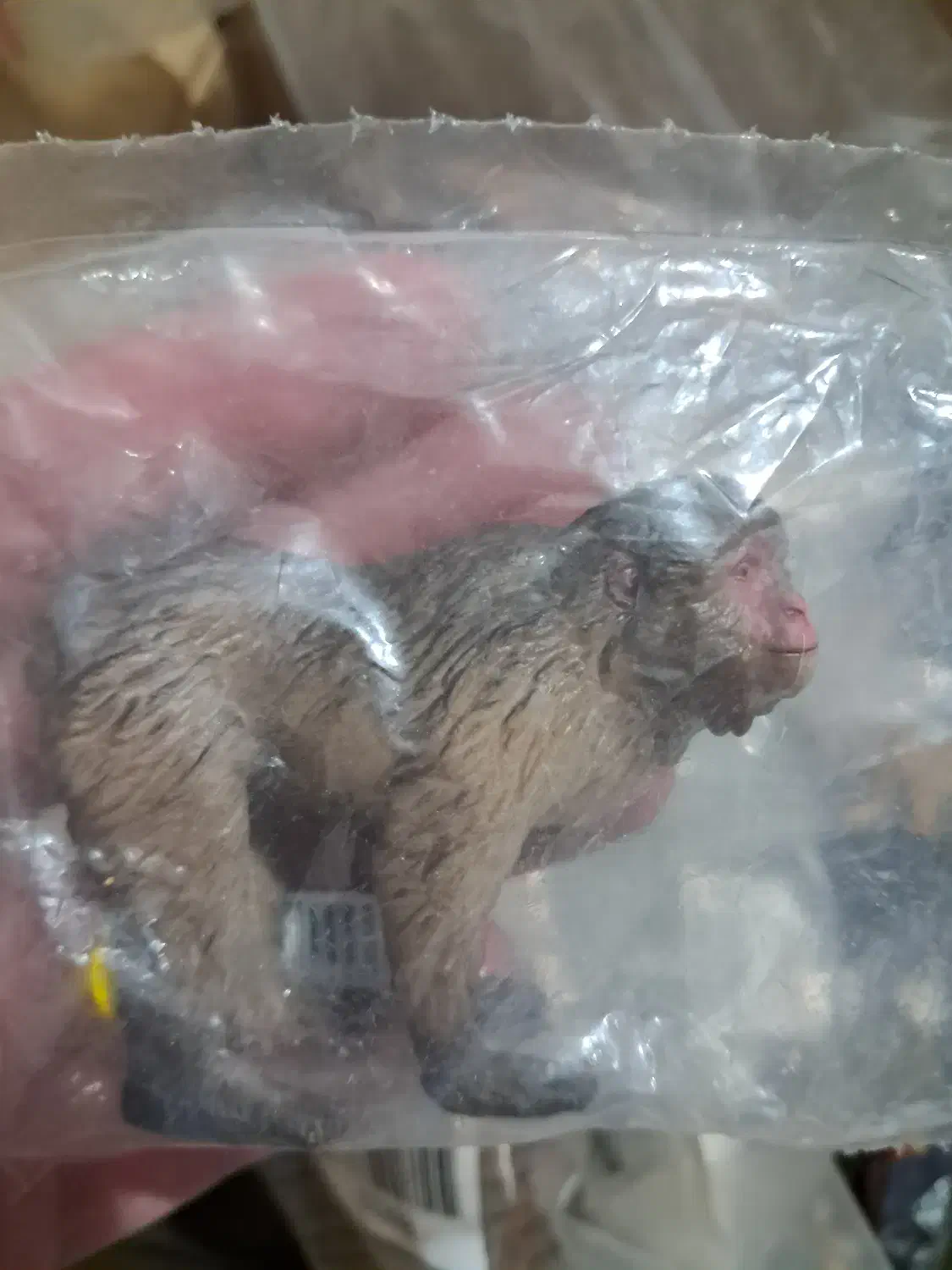 فروش فیگور حیوانات|کلکسیون و سرگرمی|اصفهان, دانشگاه اصفهان|دیوار