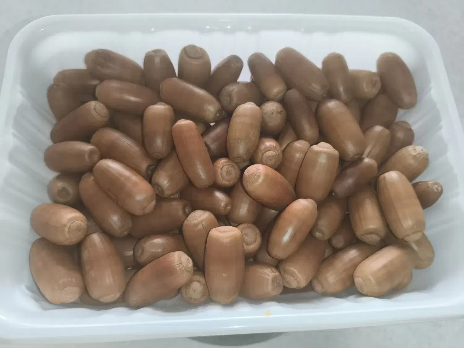 بلوط خشک درشت|لوازم جانبی حیوانات|قدس, شهرقدس|دیوار