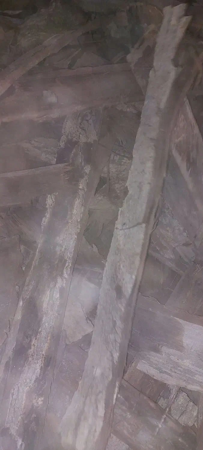 فروش  پوست چوب درخت گردو|مصالح و تجهیزات ساختمان|رودهن, |دیوار