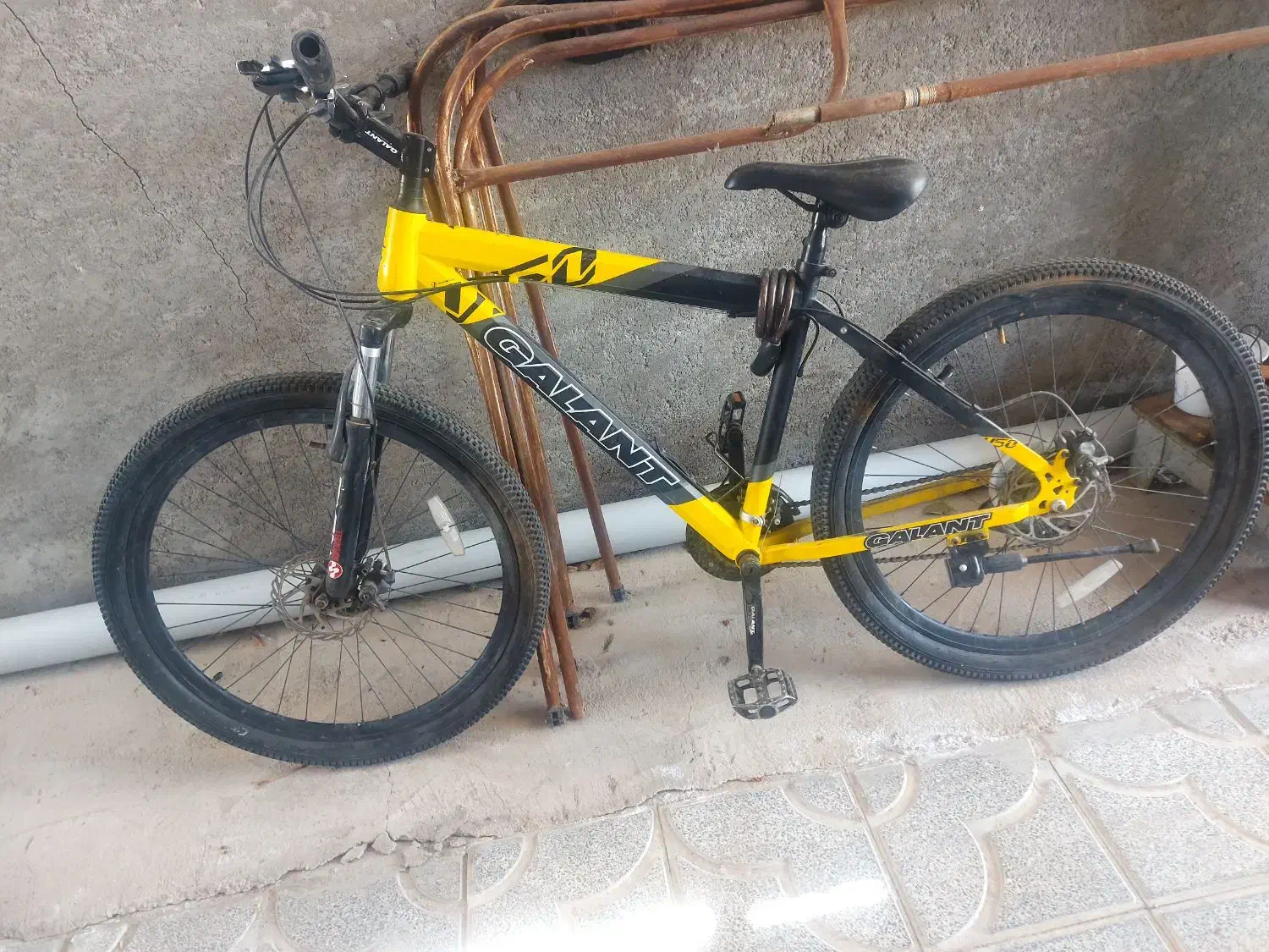 دوچرخه قالانت|دوچرخه، اسکیت، اسکوتر|اسکو, |دیوار