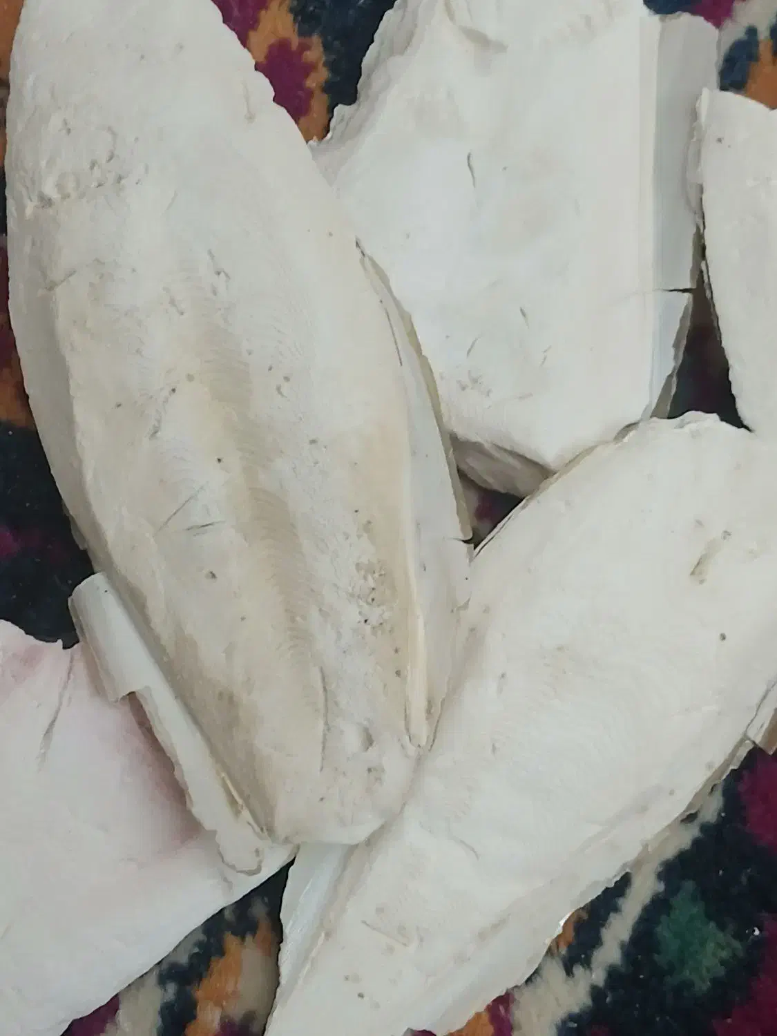 مخصوص پرنده|پرنده|تبریز, |دیوار