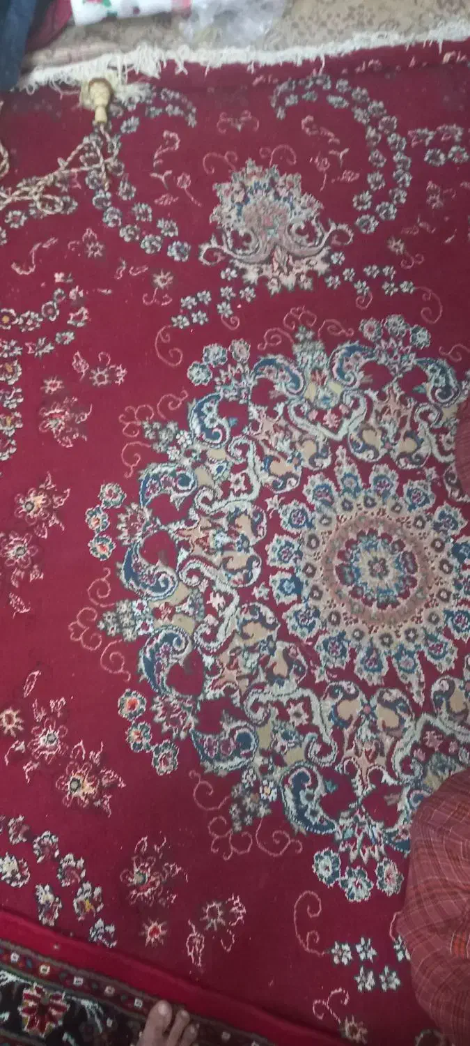 فرش|فرش|تربت‌حیدریه, آغوی|دیوار