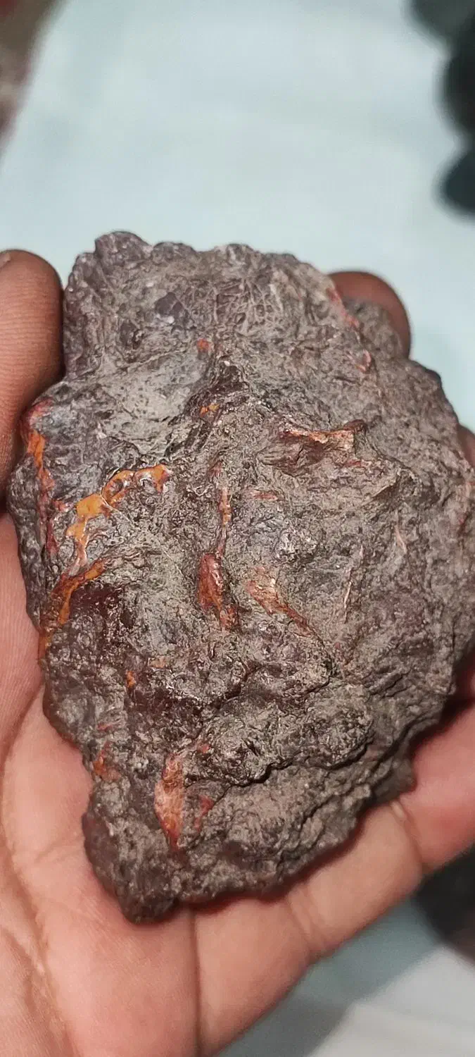 راف سنگهای آسمانی|کلکسیون اشیاء عتیقه|زاهدان, |دیوار