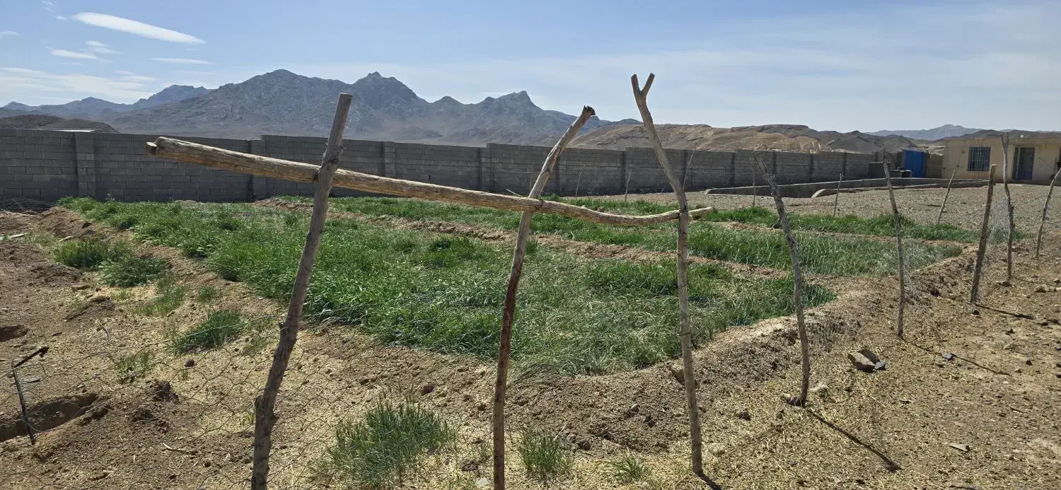 فروش دامداری ۵۰۰۰ متری نوساز|فروش زمین و ملک کلنگی|نطنز, |دیوار