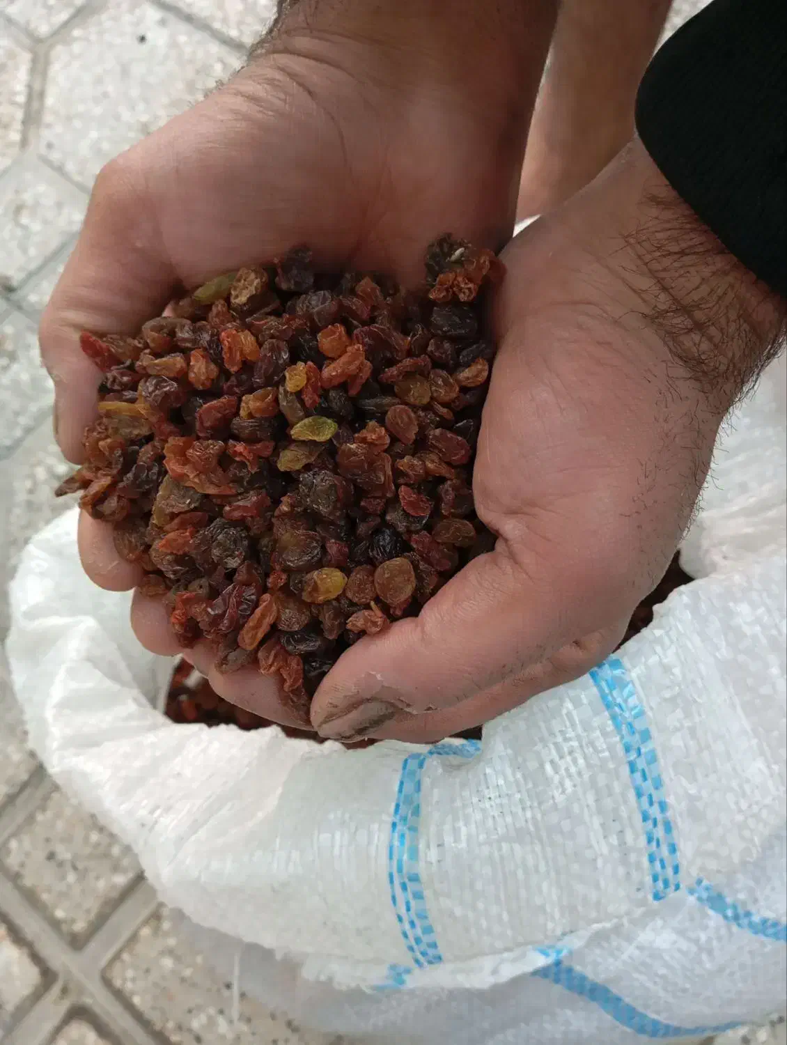 کشمش بش|خوردنی و آشامیدنی|شیراز, دباغ خانه|دیوار