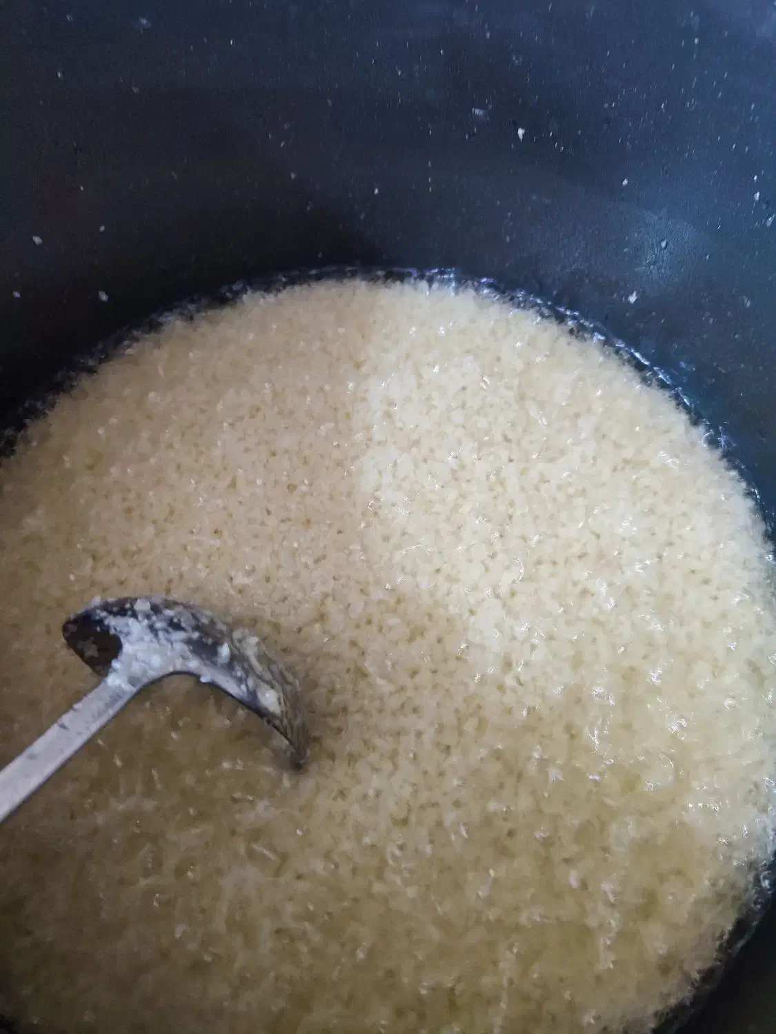 سیر سرخ شده|خوردنی و آشامیدنی|تربت جام, شهرک آزادگان|دیوار