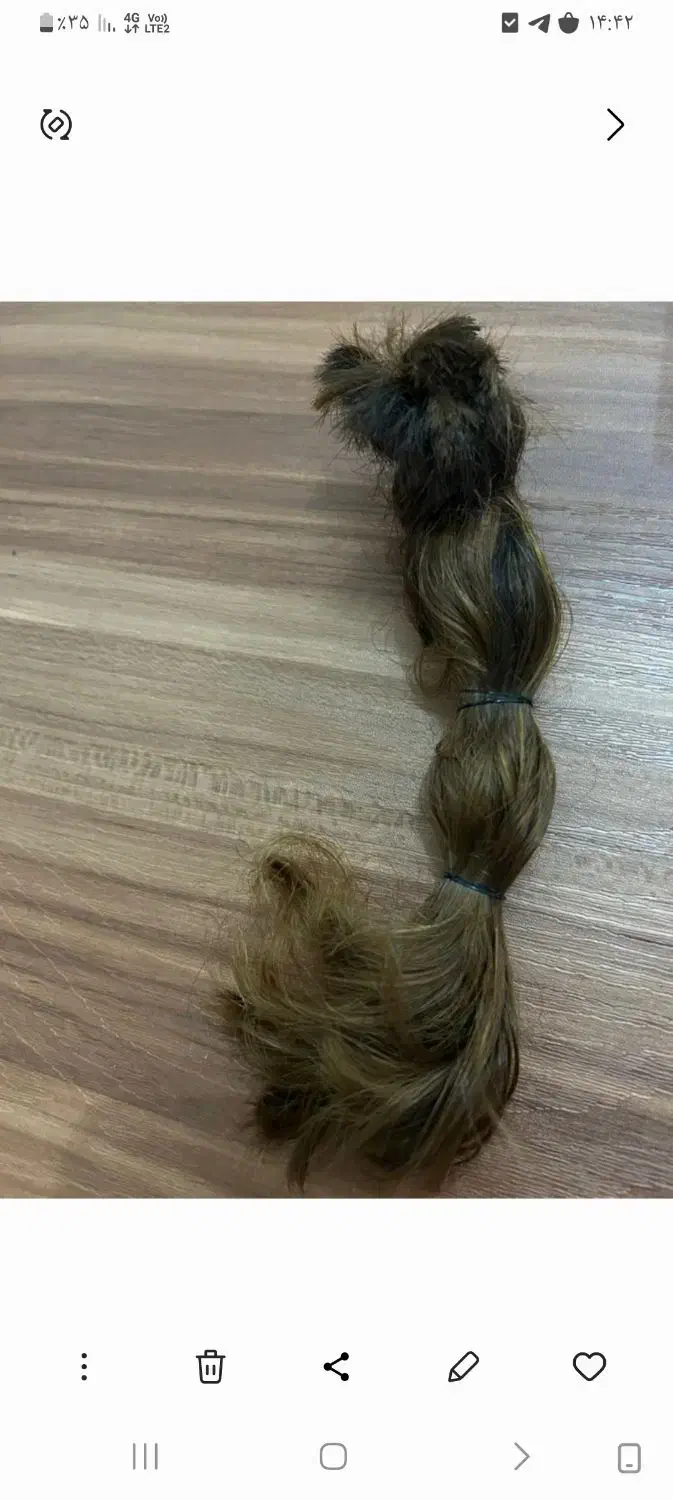 موی طبیعی|آرایشی، بهداشتی، درمانی|رشت, فلسطین|دیوار