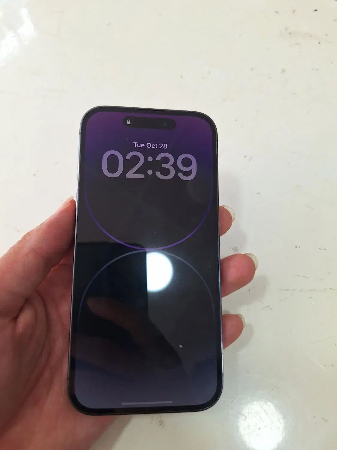 iphone 14 pro|موبایل|تبریز, |دیوار