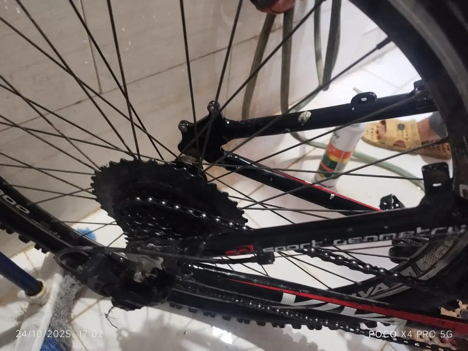 دوچرخه 26ویوا سند دار|دوچرخه، اسکیت، اسکوتر|اهواز, بهارستان|دیوار