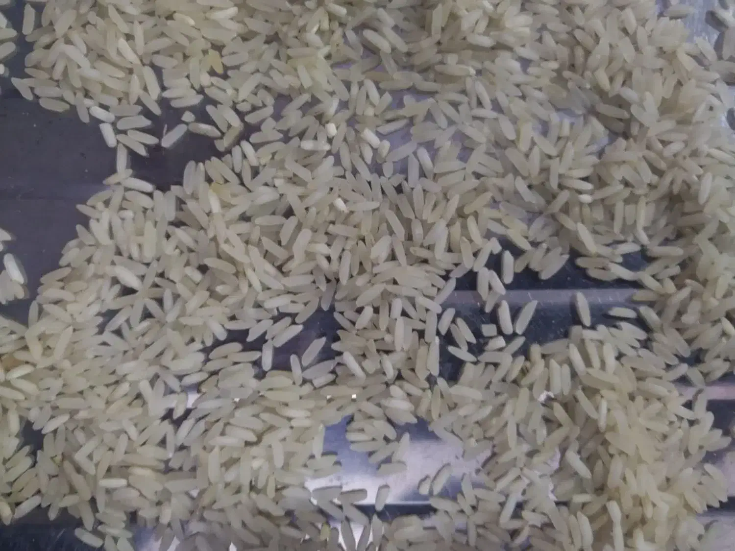 برنج ایرانی فجر|خوردنی و آشامیدنی|مشهد, قائم|دیوار