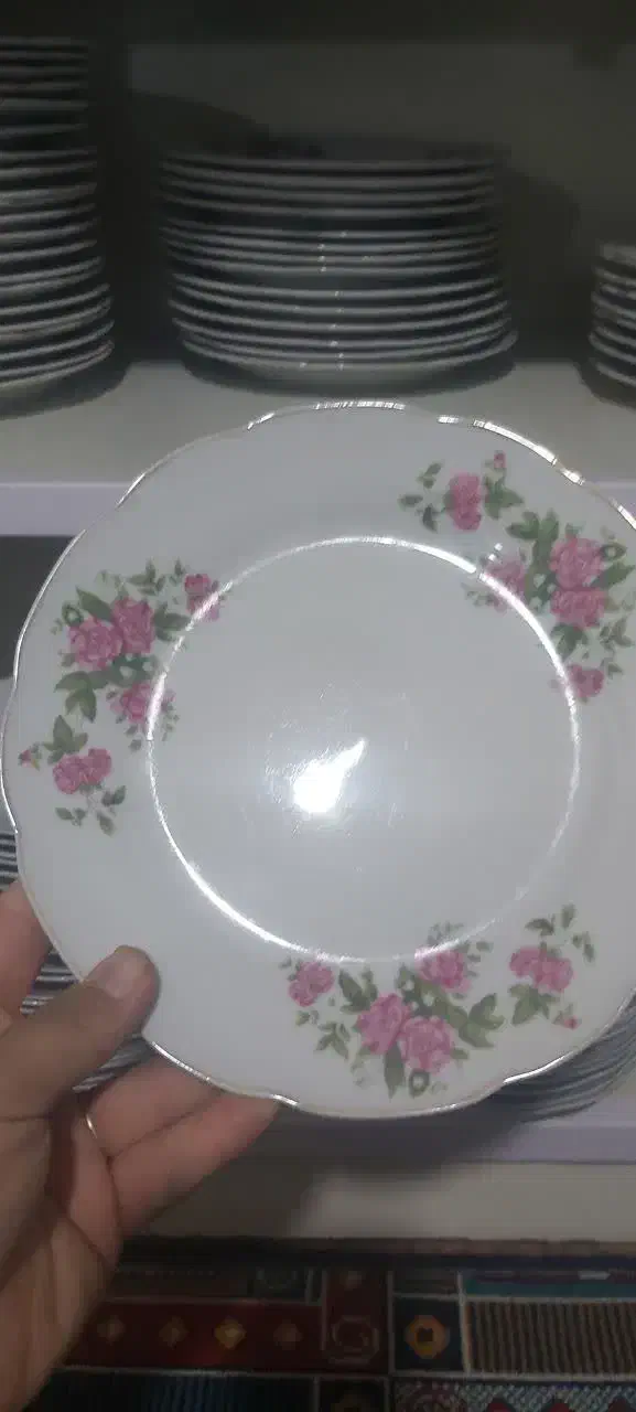 پلو خوری وخورشت خوری|ظروف سرو و پذیرایی|همدان, |دیوار