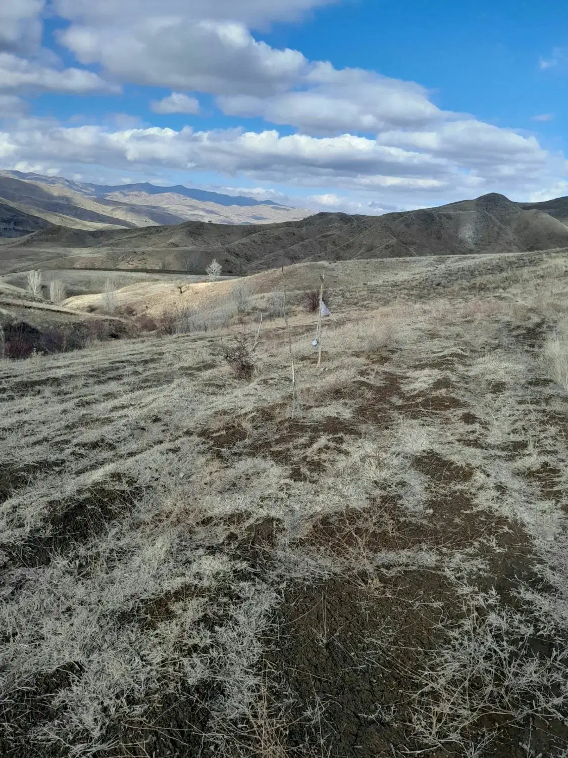 زمین کشاورزی|فروش دفتر صنعتی، کشاورزی، تجاری|خلخال, |دیوار