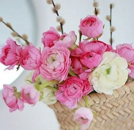 بادکنک آرایی و گل آرایی|خدمات پذیرایی، مراسم|پرند, فاز ۲|دیوار