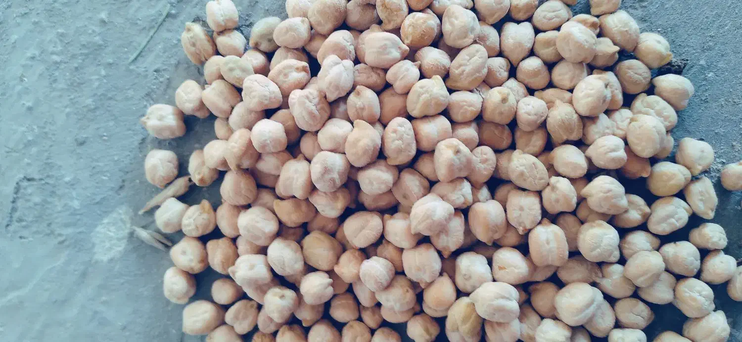 فروش نخود درجه یک|خوردنی و آشامیدنی|صحنه, |دیوار