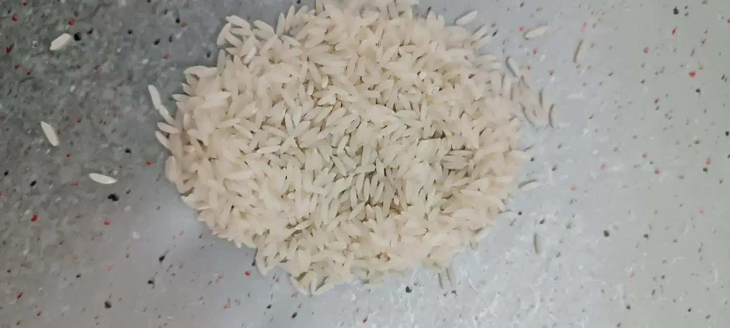 برنج صدری زنجان رود|خوردنی و آشامیدنی|زنجانرود, |دیوار