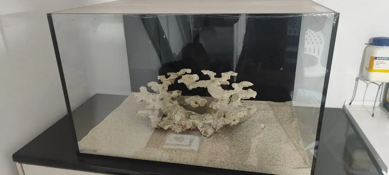 آکواریوم آب شور و لوازم|ماهی|کرمانشاه, |دیوار