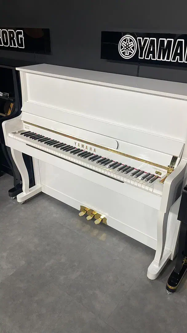 پیانو دیجیتال|پیانو، کیبورد، آکاردئون|کرج, اصفهانی‌ها|دیوار