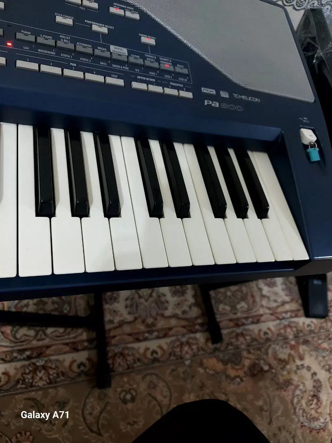 kore p800|پیانو، کیبورد، آکاردئون|مبارکه, |دیوار