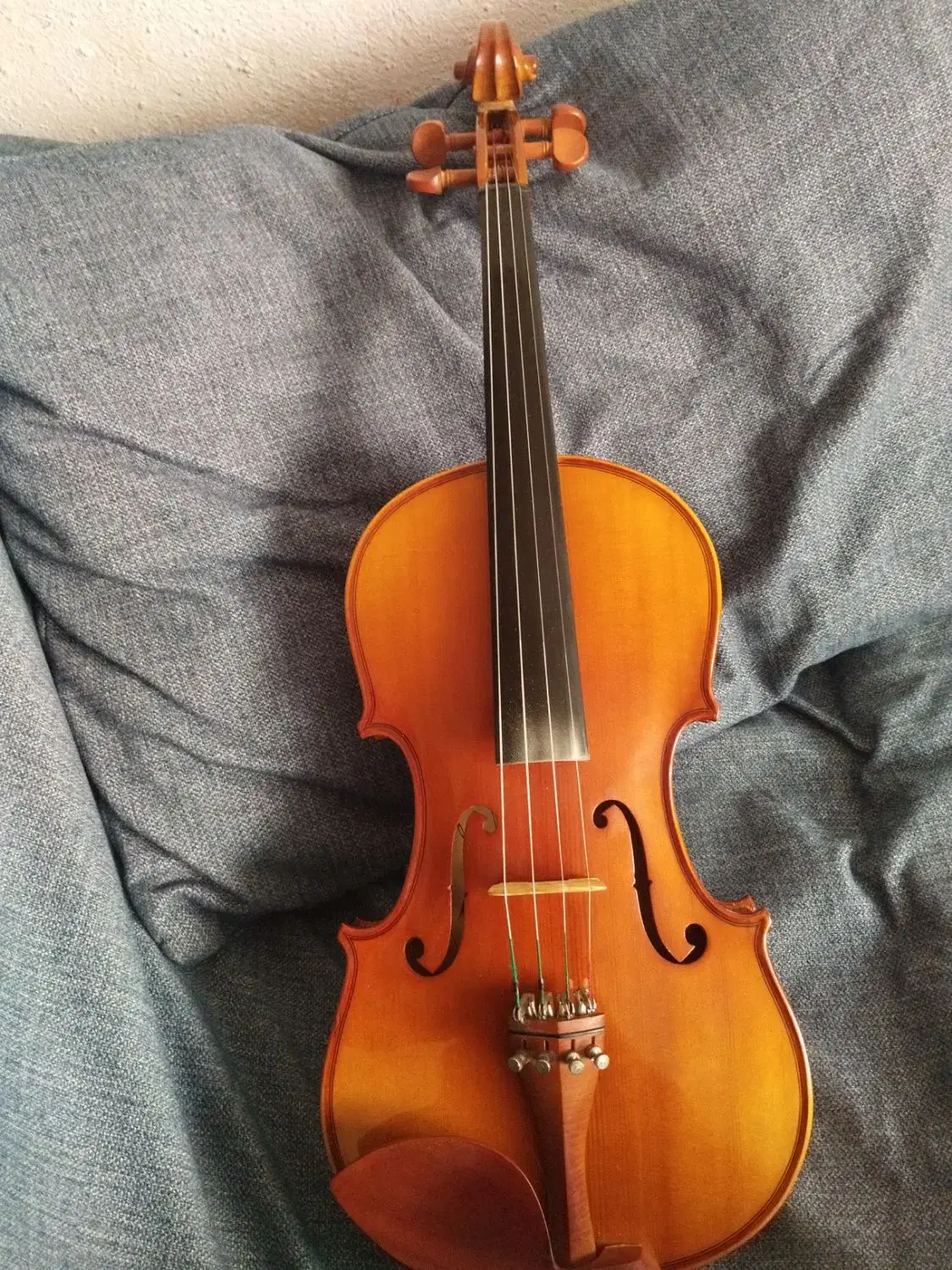 ویالن نیمه حرفه ای|ویولن|شیراز, شهرک قمشه|دیوار