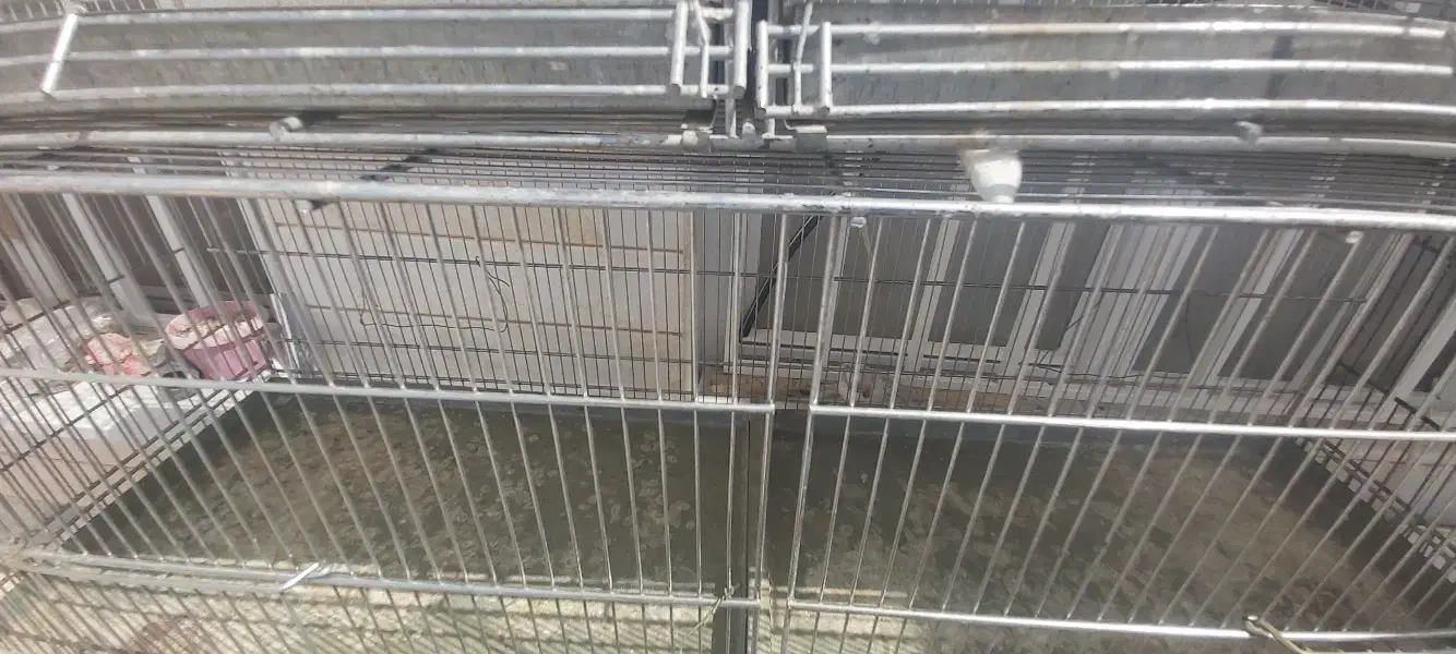 قفس هشت خان|لوازم جانبی حیوانات|کاشمر, |دیوار