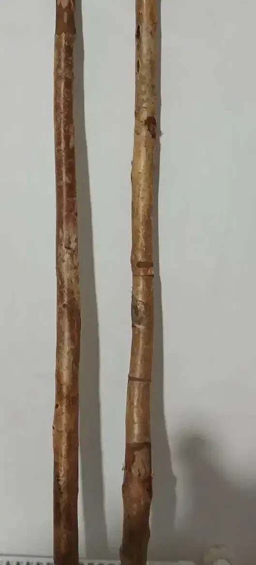 چوب ارژن|ابزارآلات|کنگاور, |دیوار