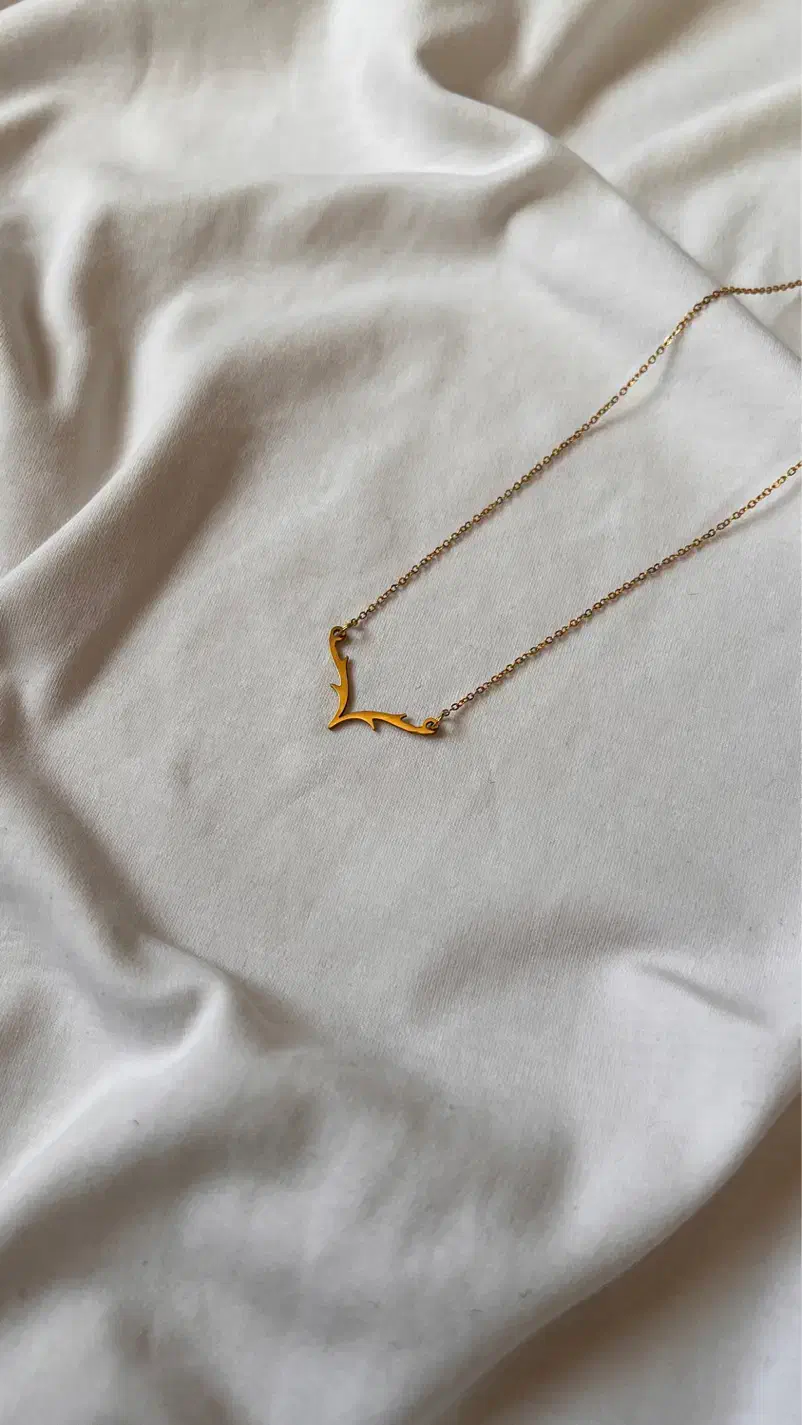 گردنبند شاخ گوزن رنگ ثابت|بدلیجات|نقده, |دیوار