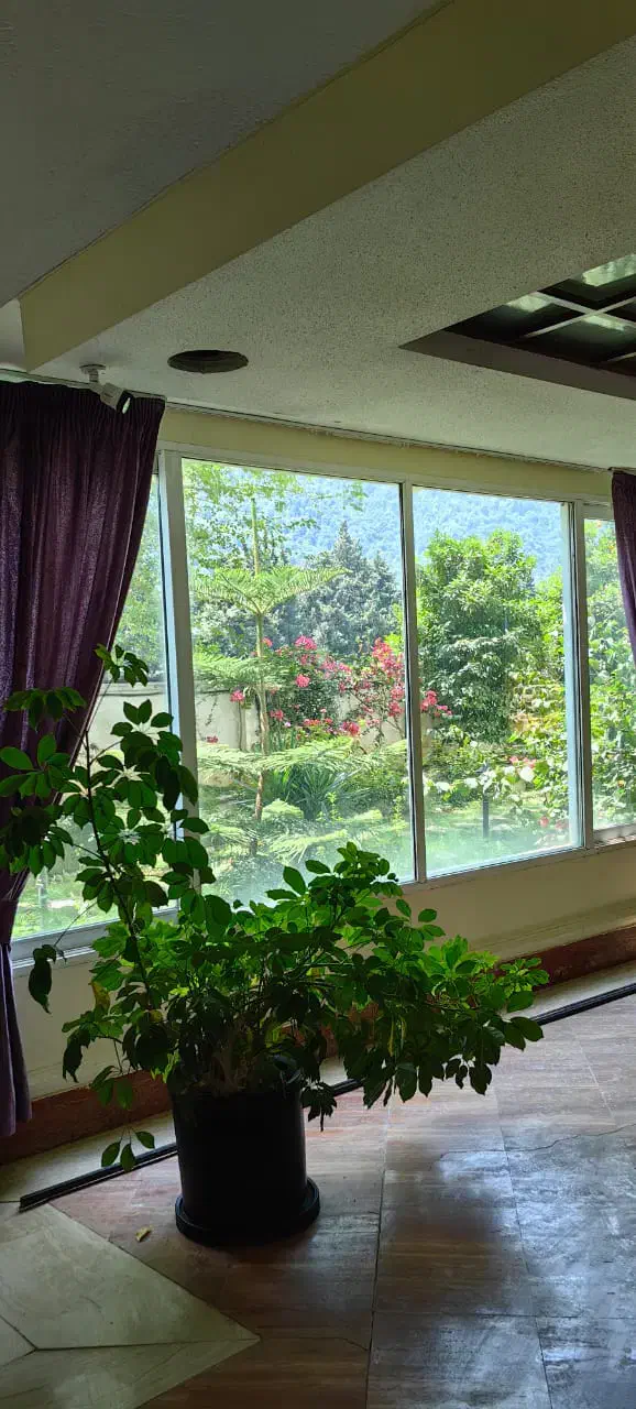 فرنیش ، ویو دریا و جنگل ، داخل مجتمع|اجارهٔ آپارتمان|رویان, |دیوار