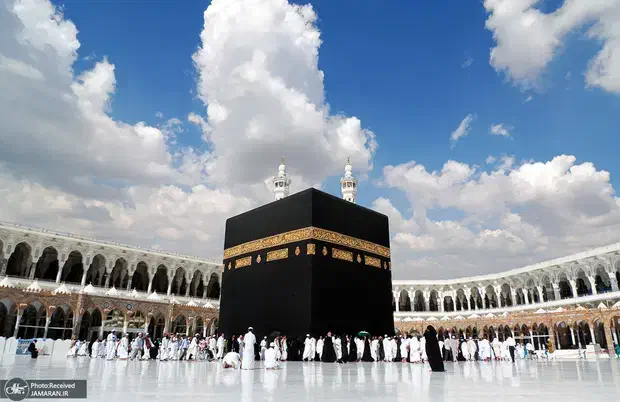 دو عدد فیش حج واجب|تور و چارتر|تربتحیدریه, ترمینال|دیوار