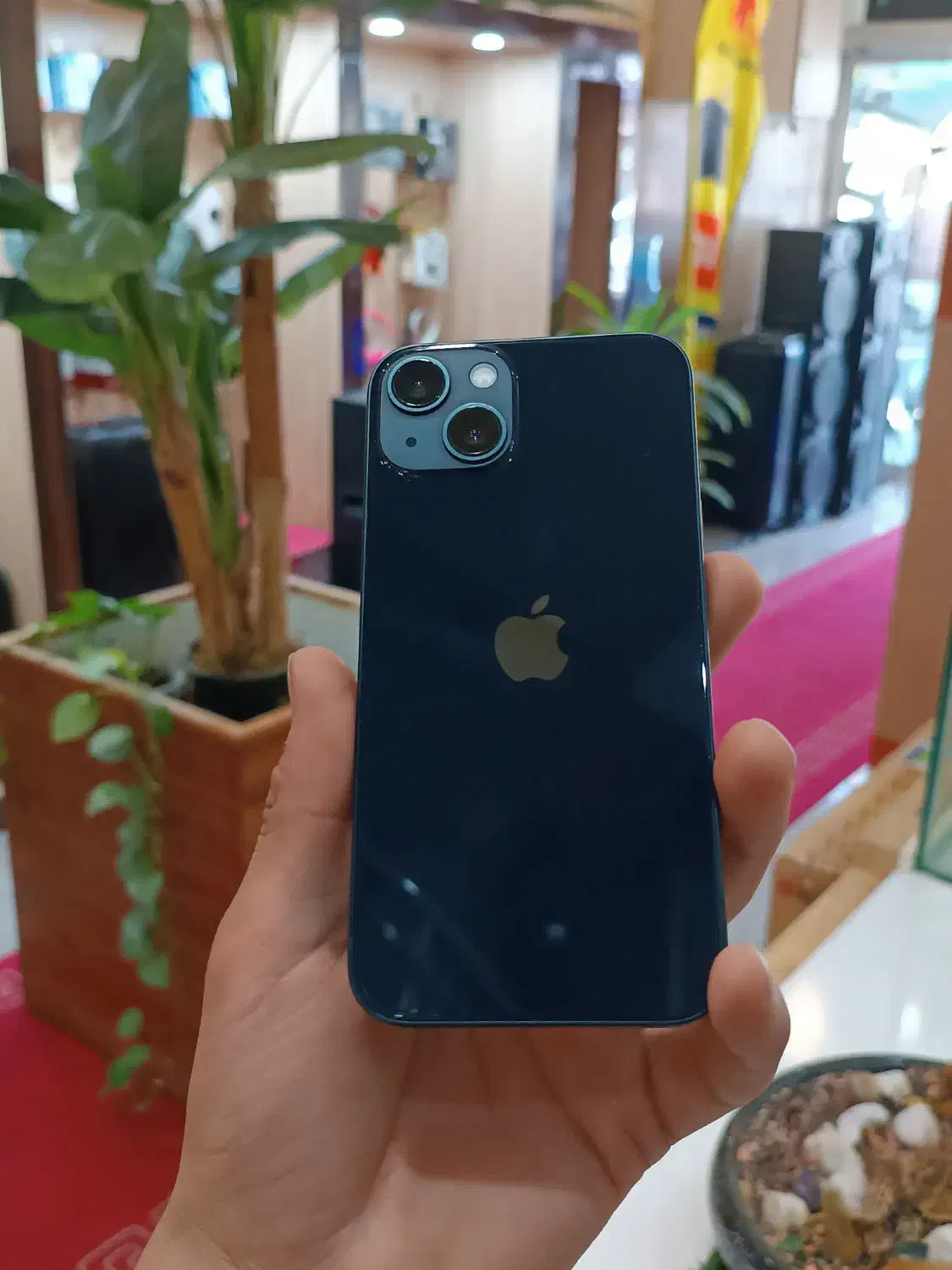 256گیگ آیفون 13|موبایل|یزد, |دیوار