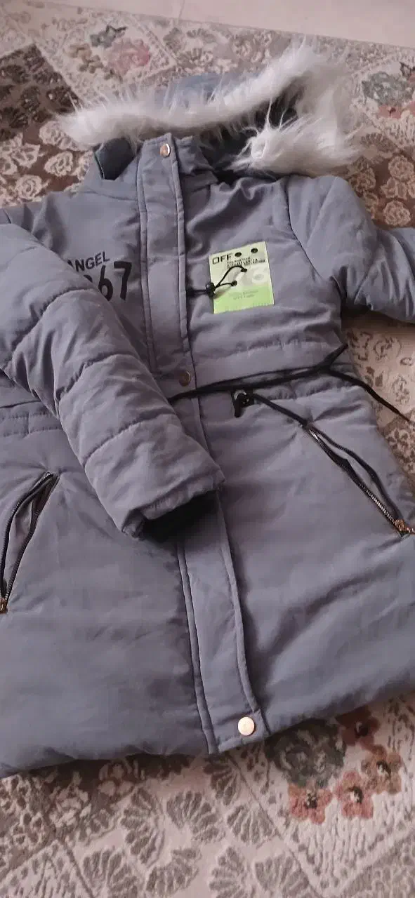 بارونی|لباس|قزوین, |دیوار