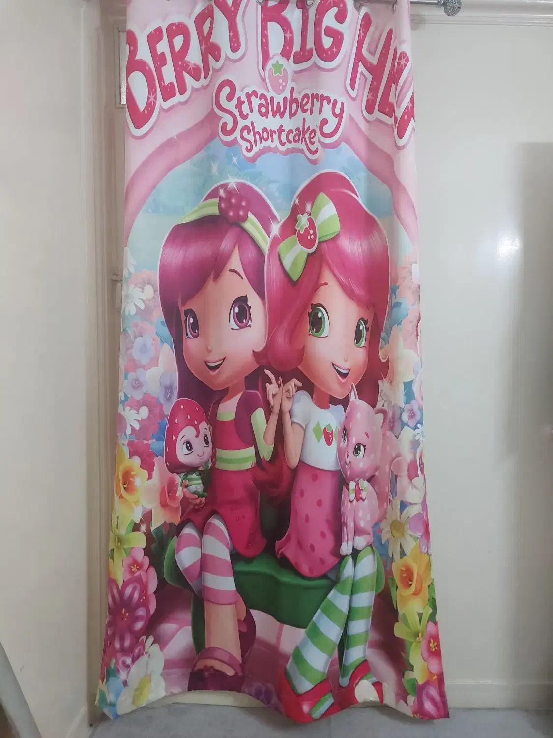 آیفون تصویری۳۰۰و۱/قالیچه و پرده اتاق کودک ۲۰۰ و۲|دوربین مداربسته|تهران, بیسیم|دیوار
