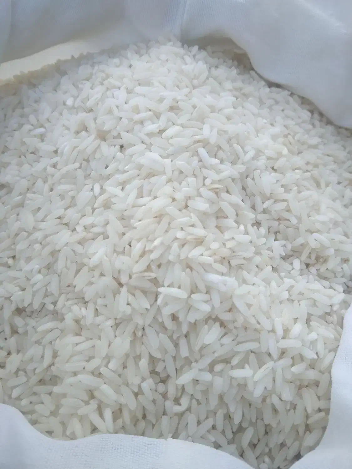 برنج هاشمی شمال|خوردنی و آشامیدنی|میاندوآب, |دیوار