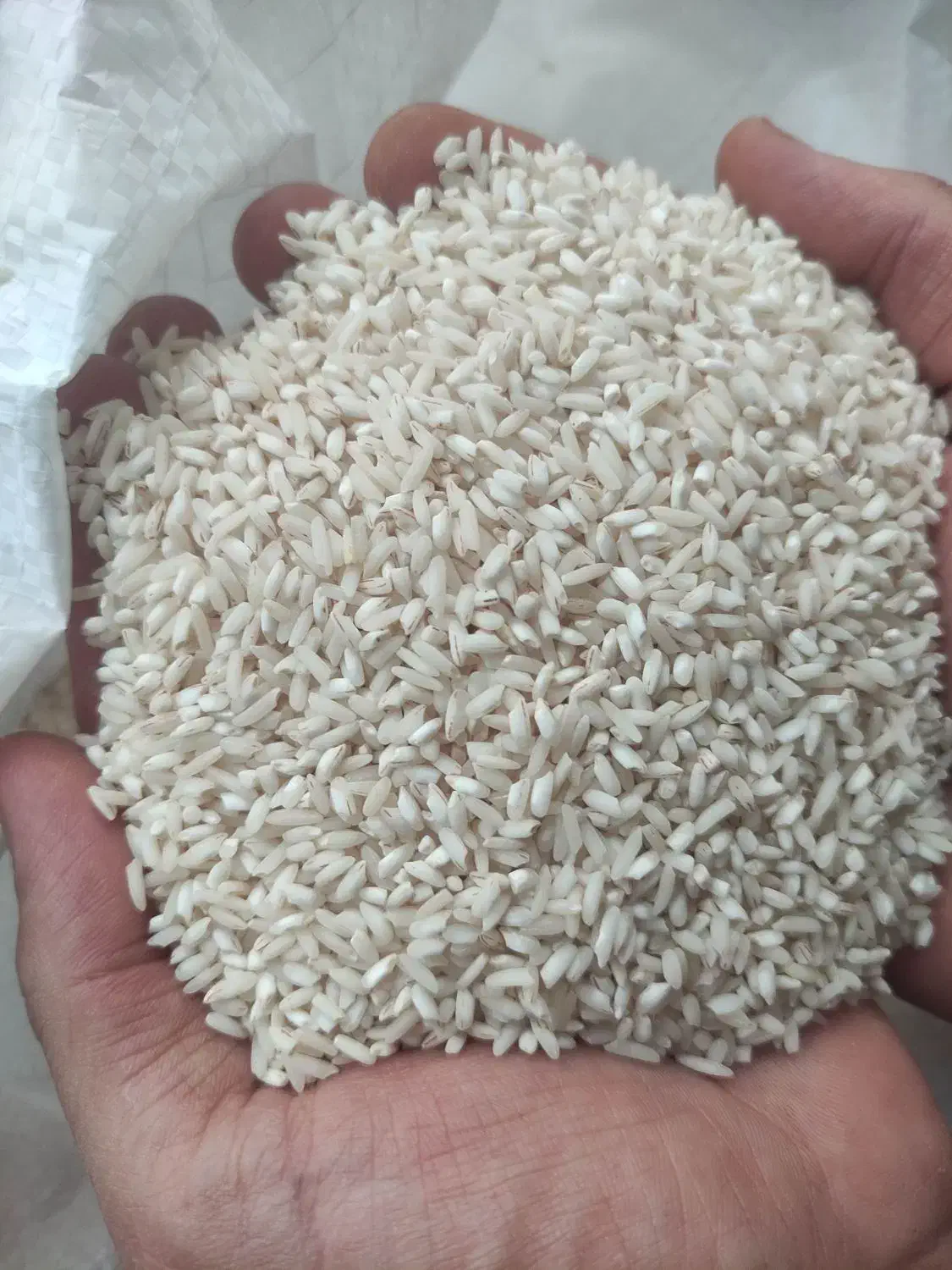 برنج جلب هاشمی . قلوه برنج|خوردنی و آشامیدنی|اردبیل, |دیوار