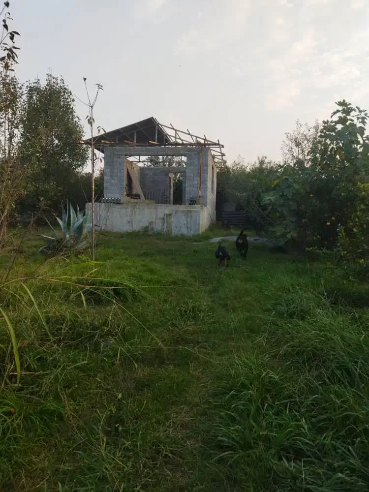 فروش زمین مازندران (ارطه وشیخ رجه)|فروش زمین و ملک کلنگی|ارطه, |دیوار