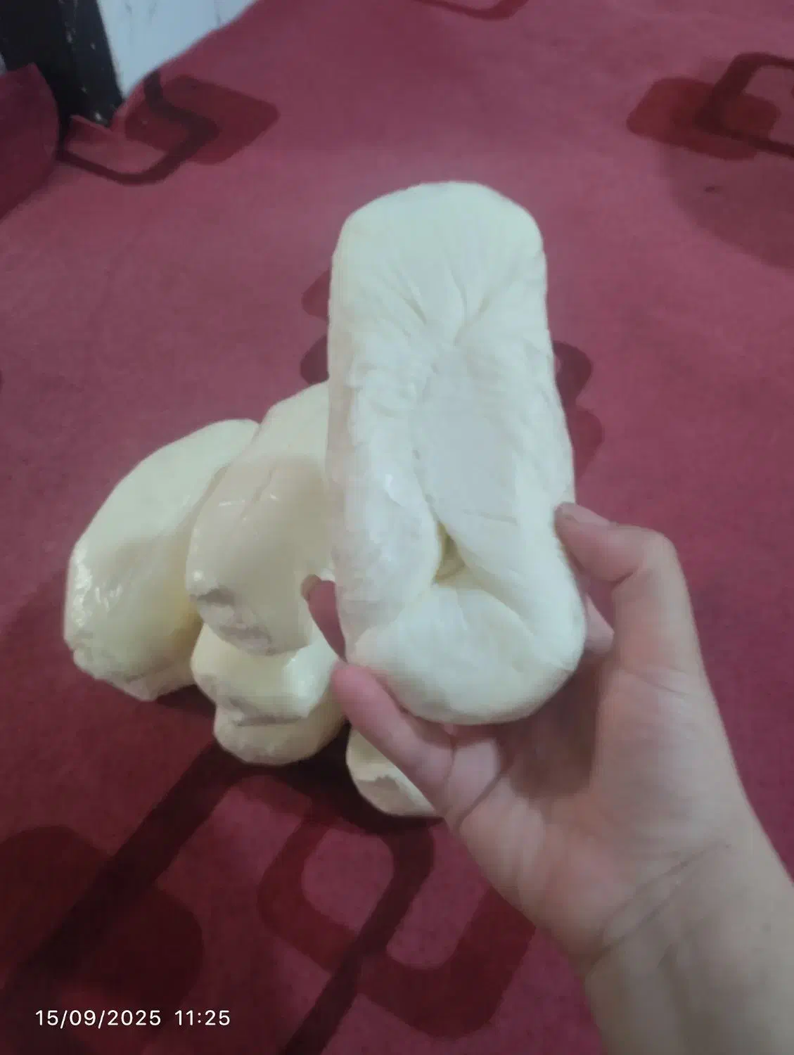 کره گاوی محلی|خوردنی و آشامیدنی|تربت جام, بوستان وحدت|دیوار