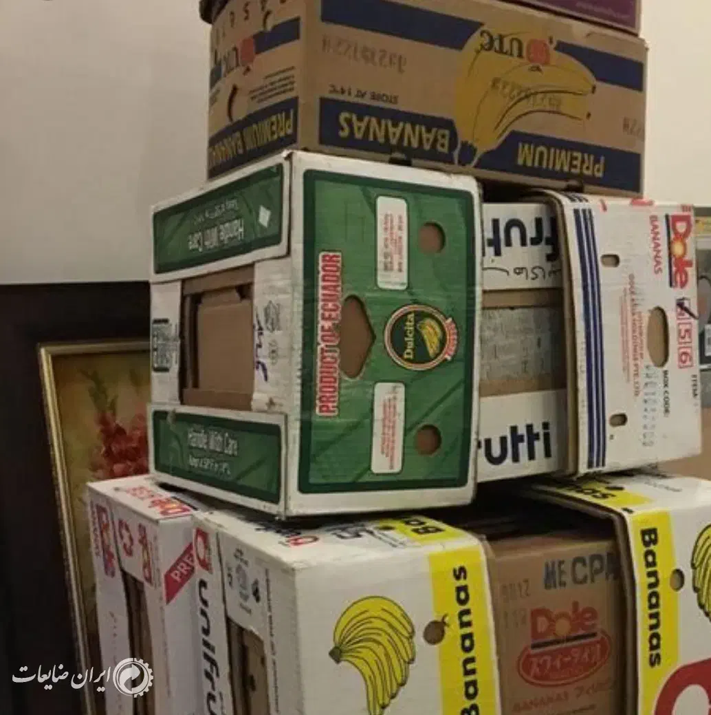 قوطی موزنصف قیمت بیرون|حراج|سهند, |دیوار