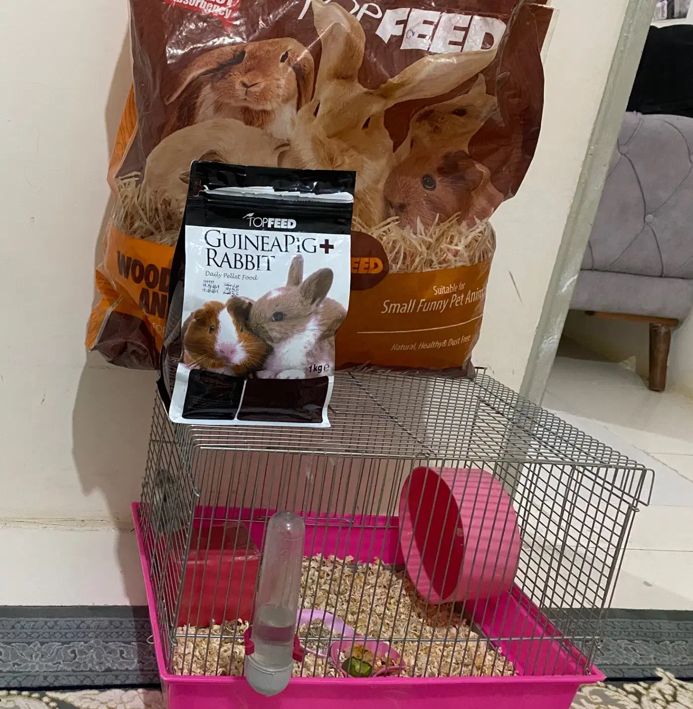 همستر|موش و خرگوش|پرند, فاز ۶|دیوار