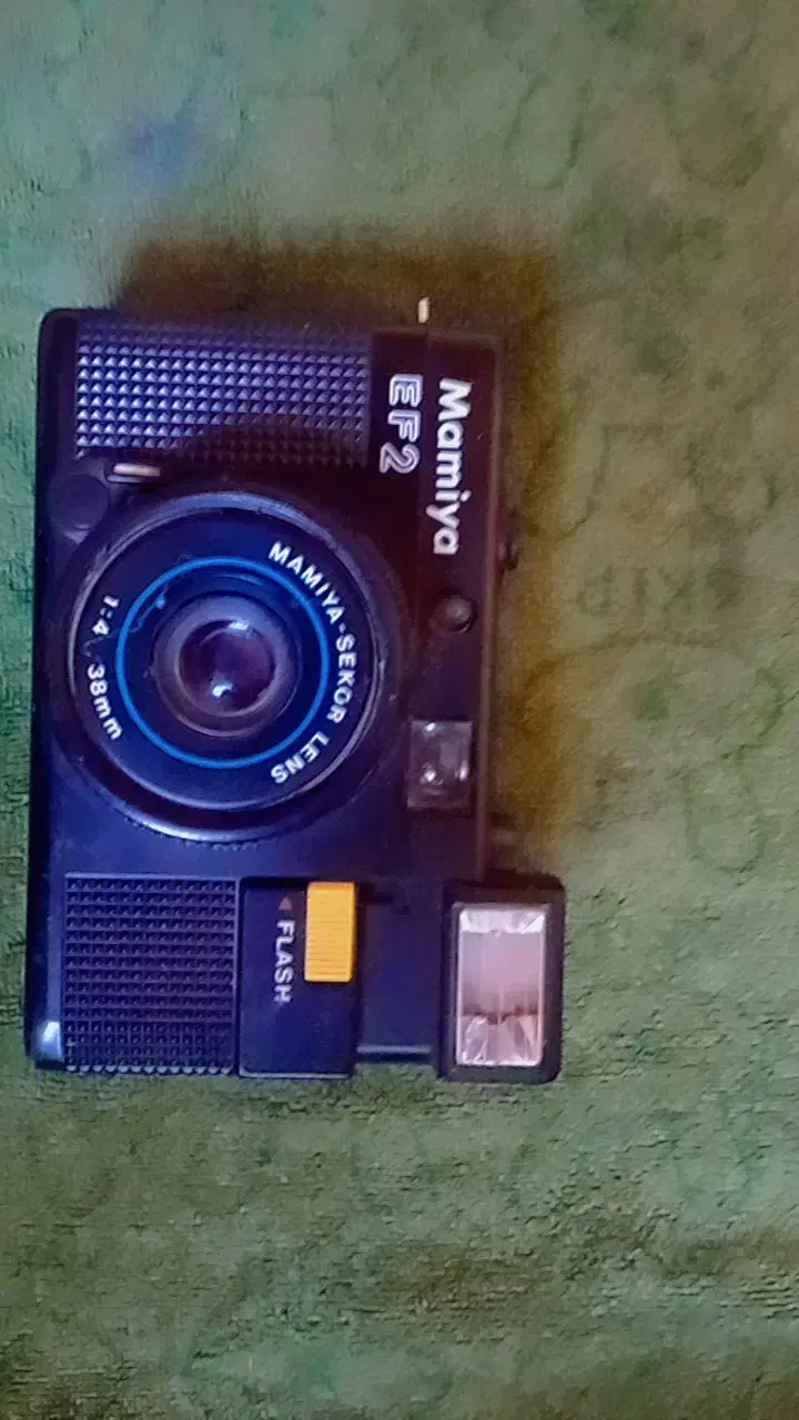 دوربین عکاسی|کلکسیون و سرگرمی|آوج, |دیوار