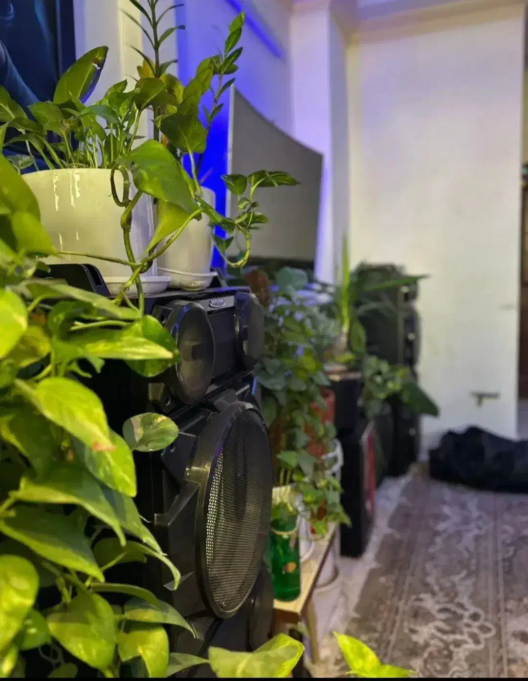 سویت|اجارهٔ کوتاه‌مدت ویلا و باغ|مشهد, وکیل‌آباد|دیوار