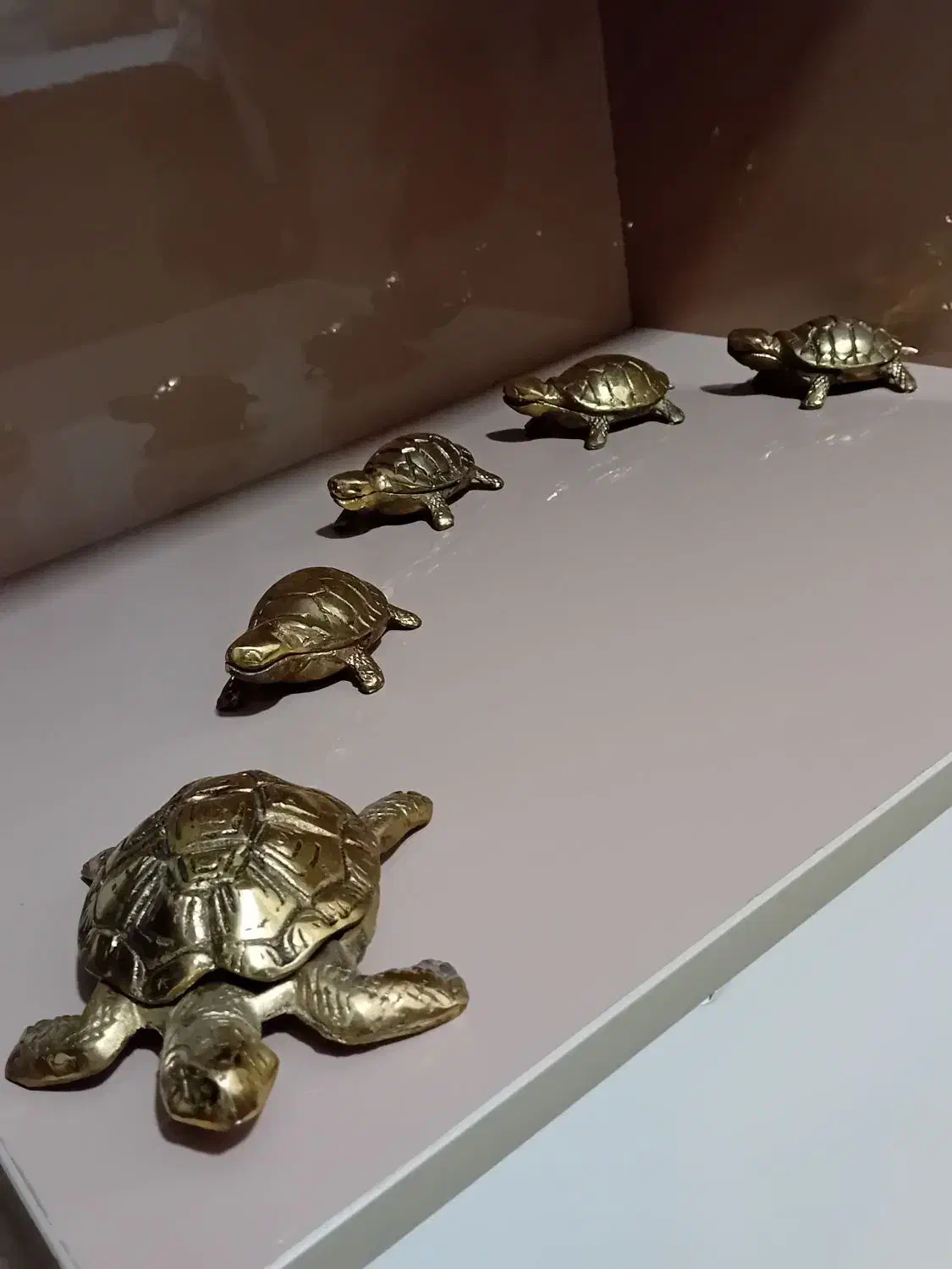 تزئین خانه|مجسمه، تندیس، ماکت|قائمشهر, |دیوار