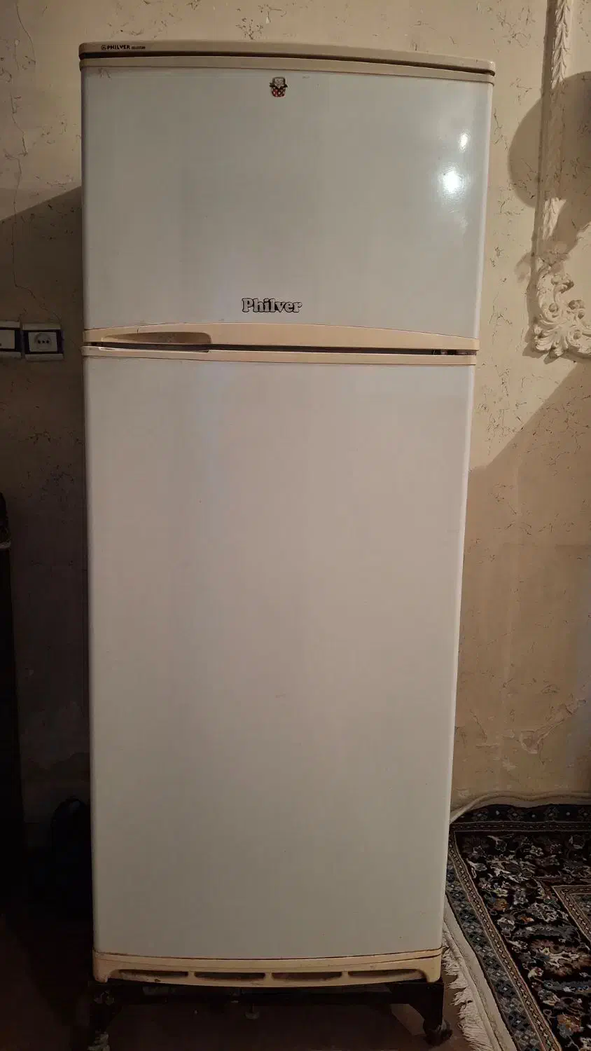 یخچال فیلور|یخچال و فریزر|شیراز, قلعه شاهزاده بیگم|دیوار