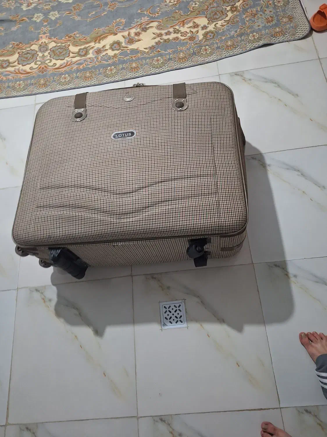 چمدان خانواده|کیف، کفش، کمربند|ملارد, |دیوار