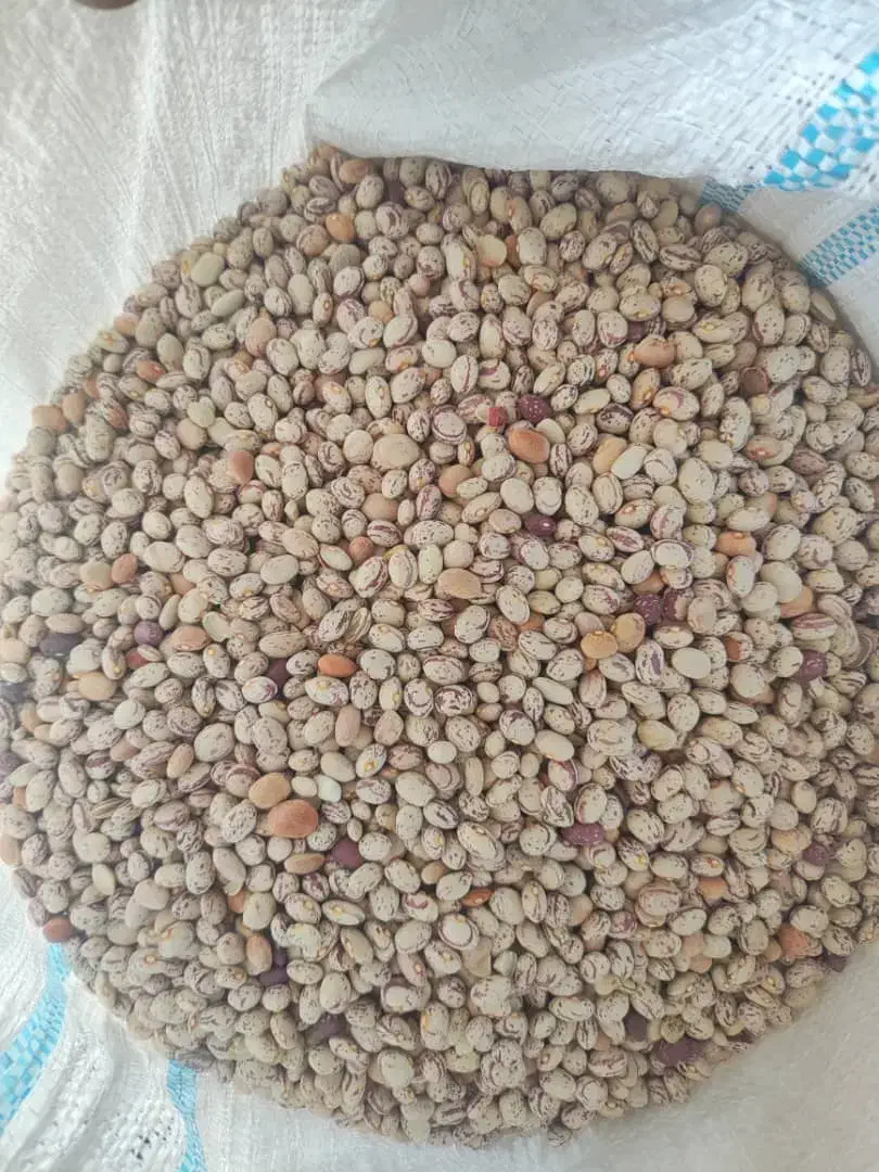 لوبیا چیتی|خوردنی و آشامیدنی|سده (فارس), |دیوار