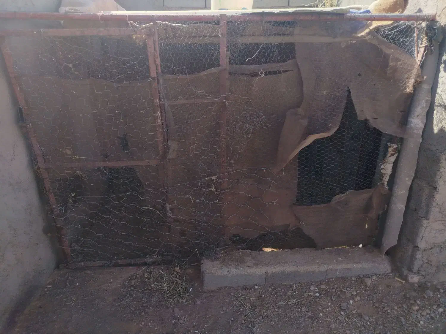 قفس بزرگ|لوازم جانبی حیوانات|سرایان, |دیوار