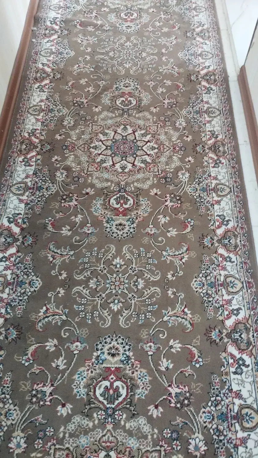 فرش|فرش|مشهد, دانشجو|دیوار