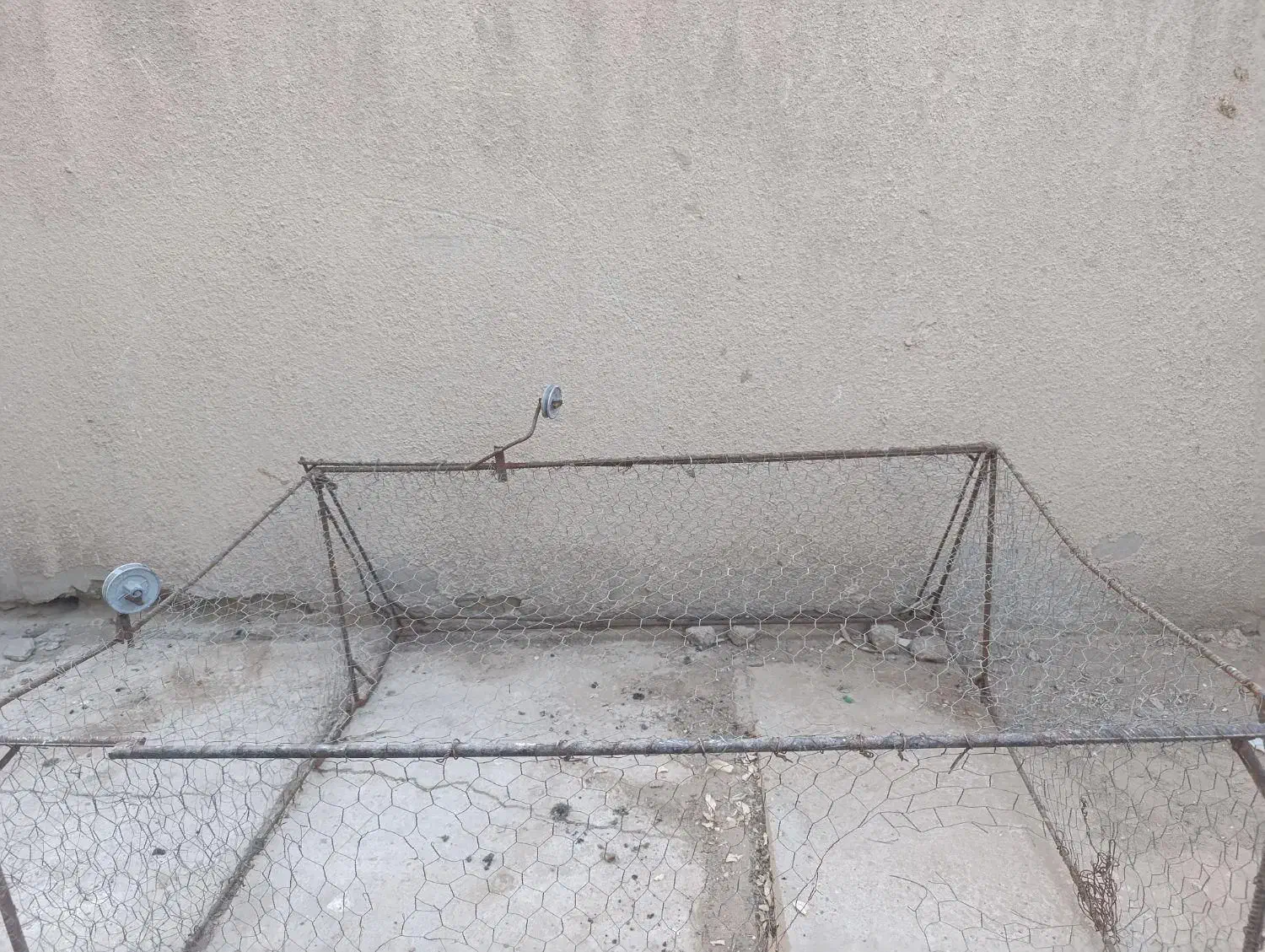 تور کبوتر سعی وسالم است|لوازم جانبی حیوانات|زهک, |دیوار